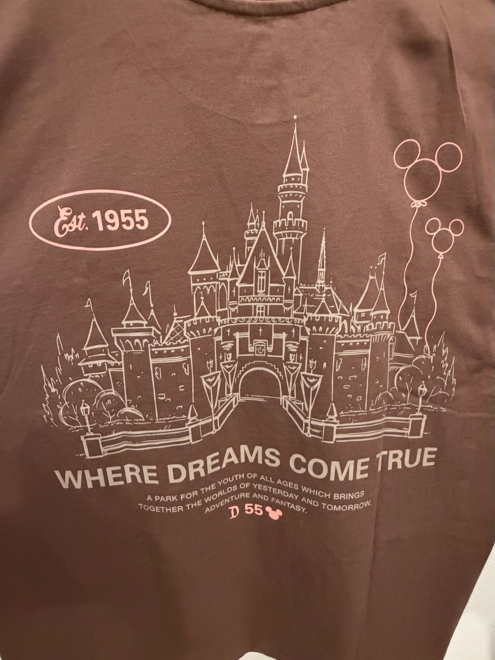 Disneyland Oversized where dreams come true graphic t-shirt NWT XL new to park - Picture 2 of 8